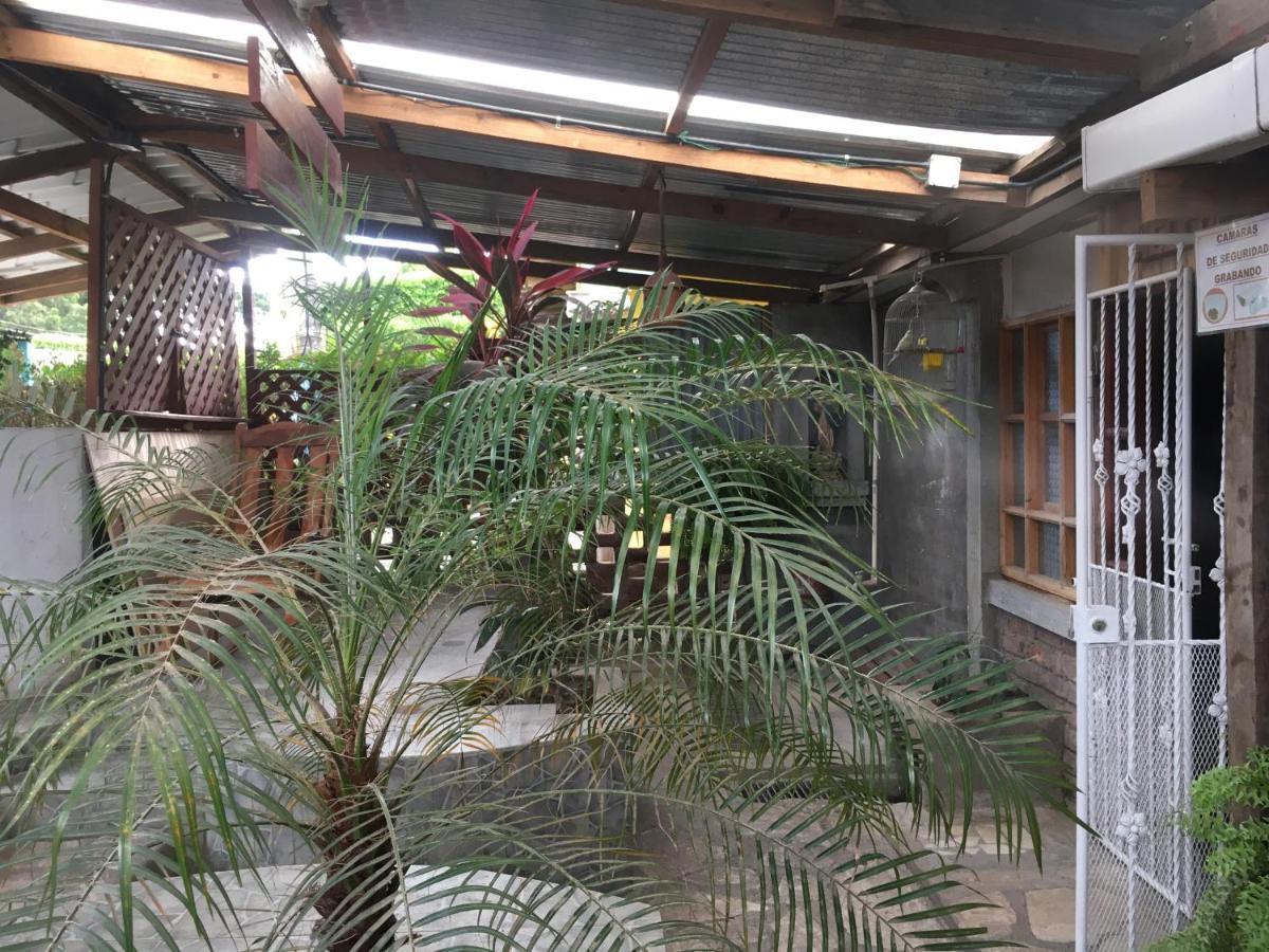 ריבאס Murph'S Surf Shacks מראה חיצוני תמונה